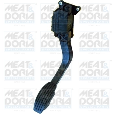 Accelerator Pedal Unit